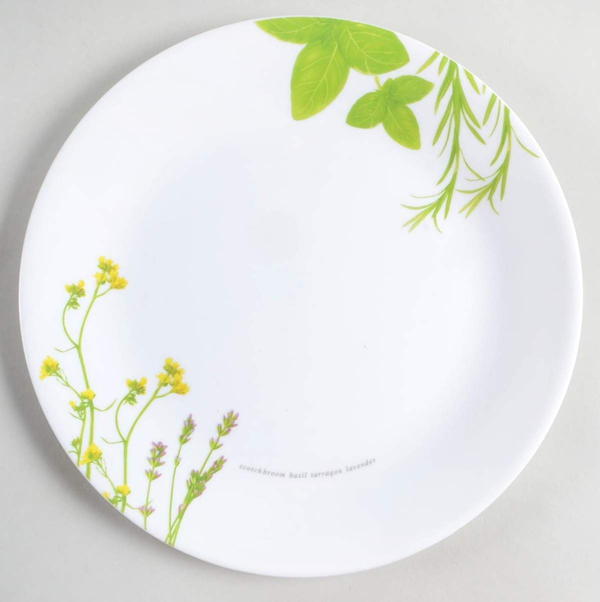 European Herbs Dinner Plate by Corning Corelle-1