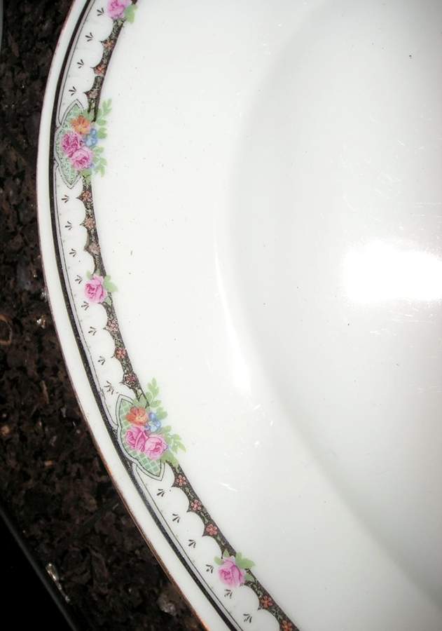 DFH7 Dinner Plate by Proeschold & Co-1