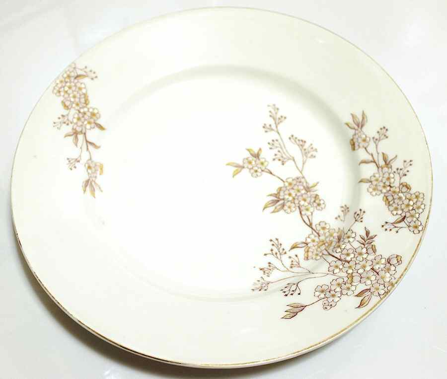 CAR227 Salad Plate by Carlsbad-1
