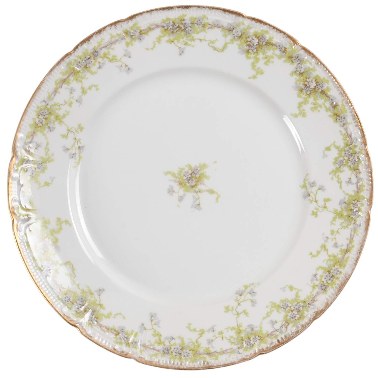 Schleiger 389-1 Dinner Plate by Charles Field Haviland-1