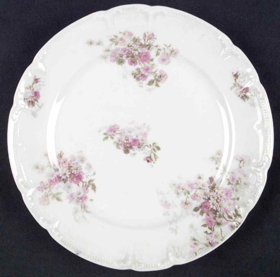 Schleiger 194-1 Salad Plate by Charles Field Haviland-1