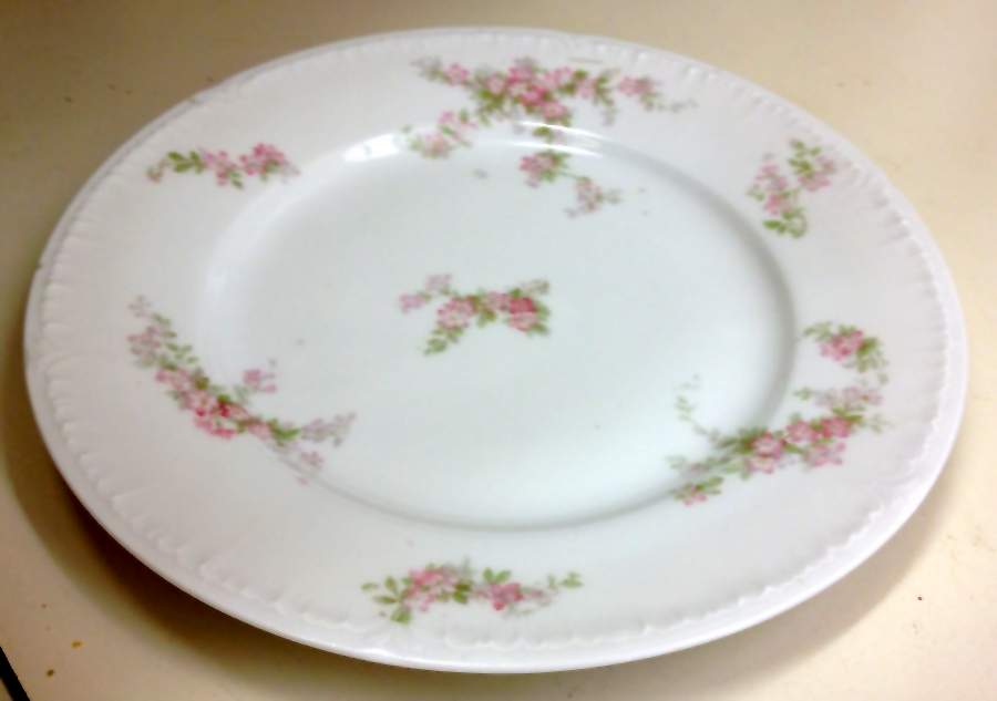 Schleiger 1288-1 Dinner Plate by Charles Field Haviland-1