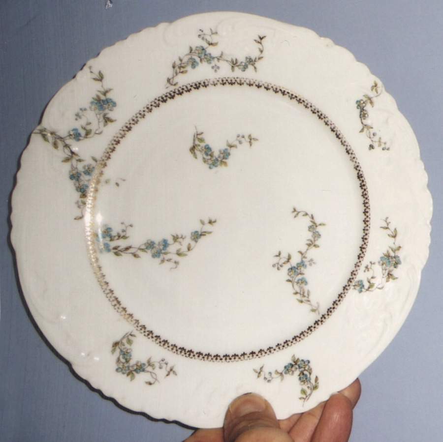 CHF1810 Salad Plate by Charles Field Haviland-1