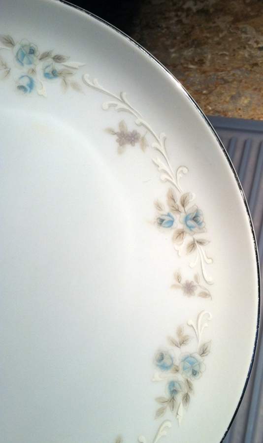 Contessa Dinner Plate by Ceramic Guild-1