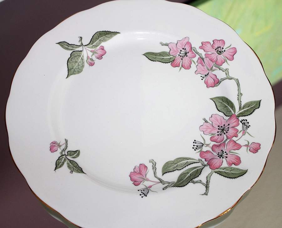 CLC117 Dinner Plate by Colclough-1