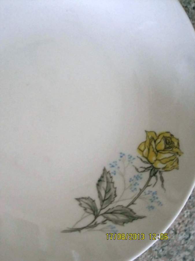 CAN285 Dinner Plate by Canonsburg-1