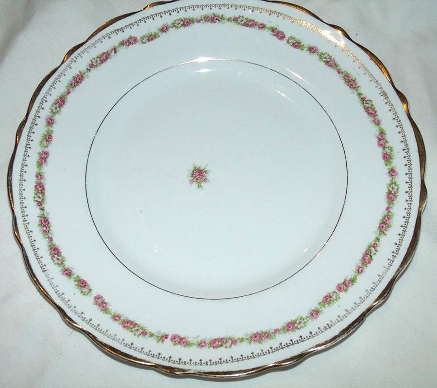 CRO392 Dinner Plate by Crooksville-1