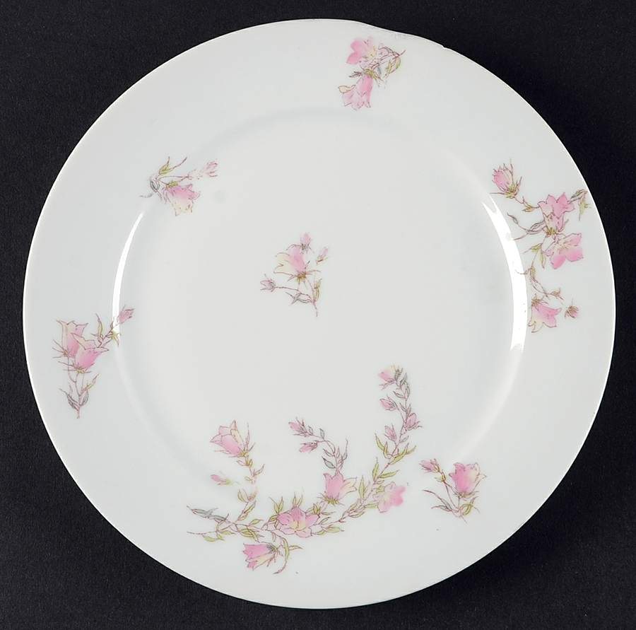 CHF1817 Salad Plate by Charles Field Haviland-1