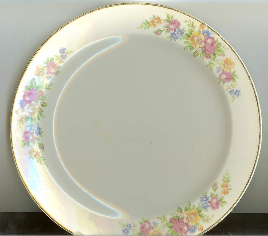 COI156 Dinner Plate by Cronin-1