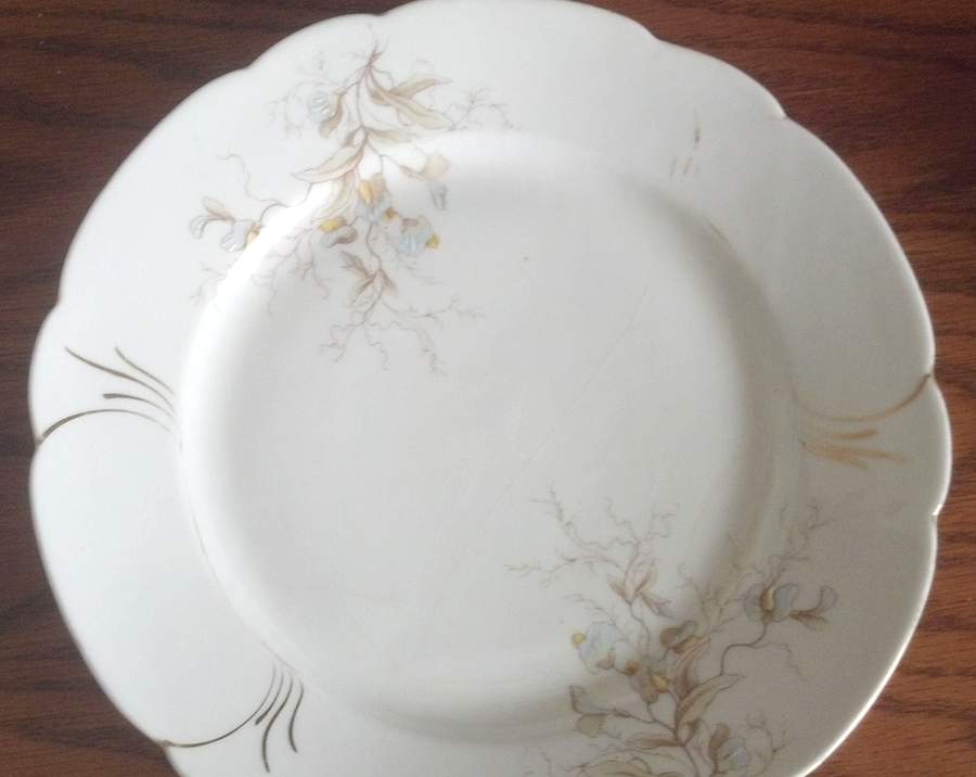 CAR231 Dinner Plate by Carlsbad-1