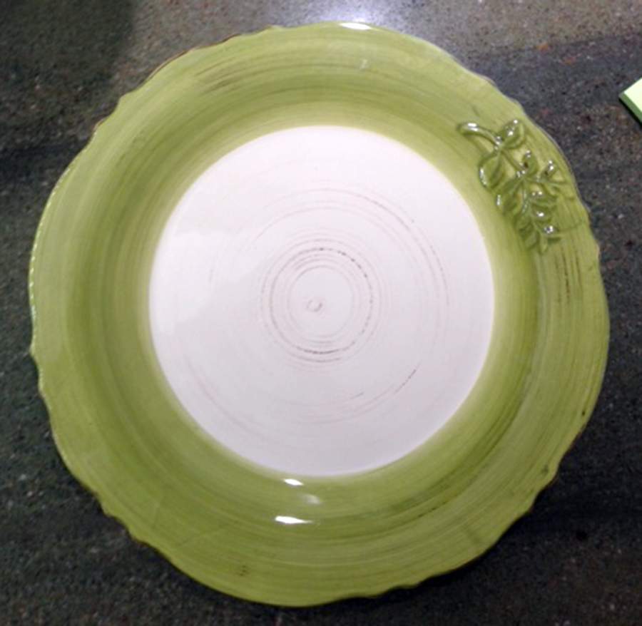 HOQ20 Dinner Plate by Home Essentials-1