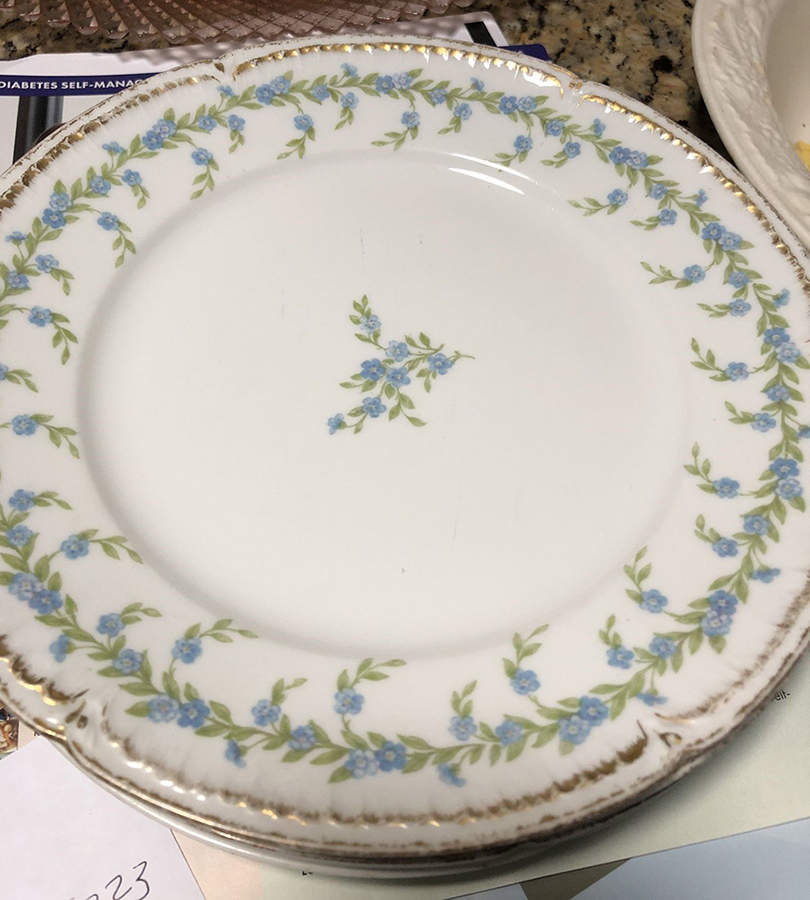 CHF1831 Salad Plate by Charles Field Haviland-1