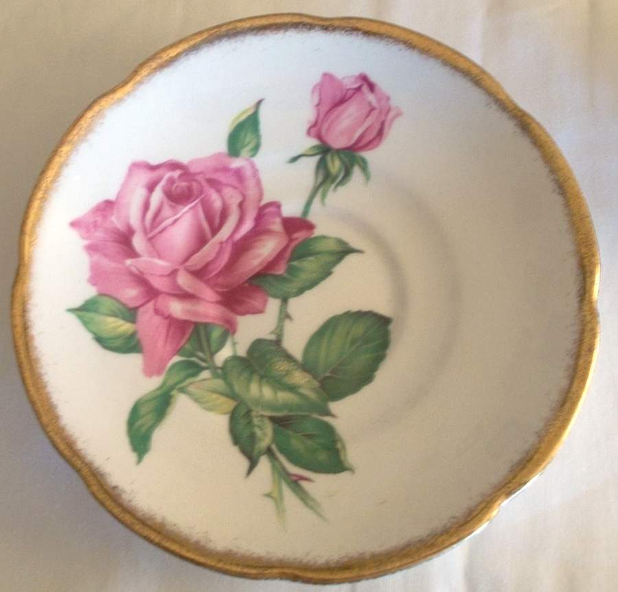 Tudor Rose Saucer by Collingwoods-1