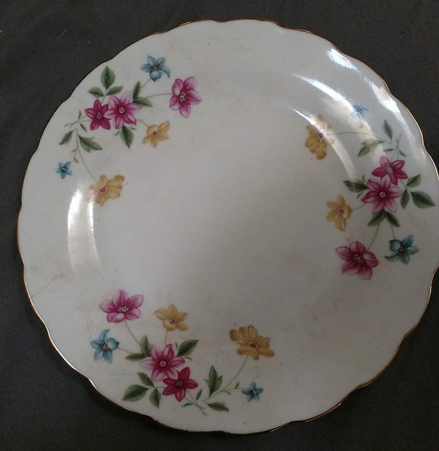 UP120 Dinner Plate by Universal Porcelain Company-1
