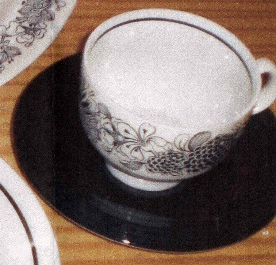 Wildwood Flat Cup & Saucer Set by Sears-1
