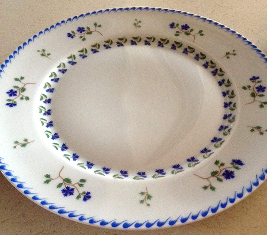 CHF1842 Dinner Plate by Charles Field Haviland-1