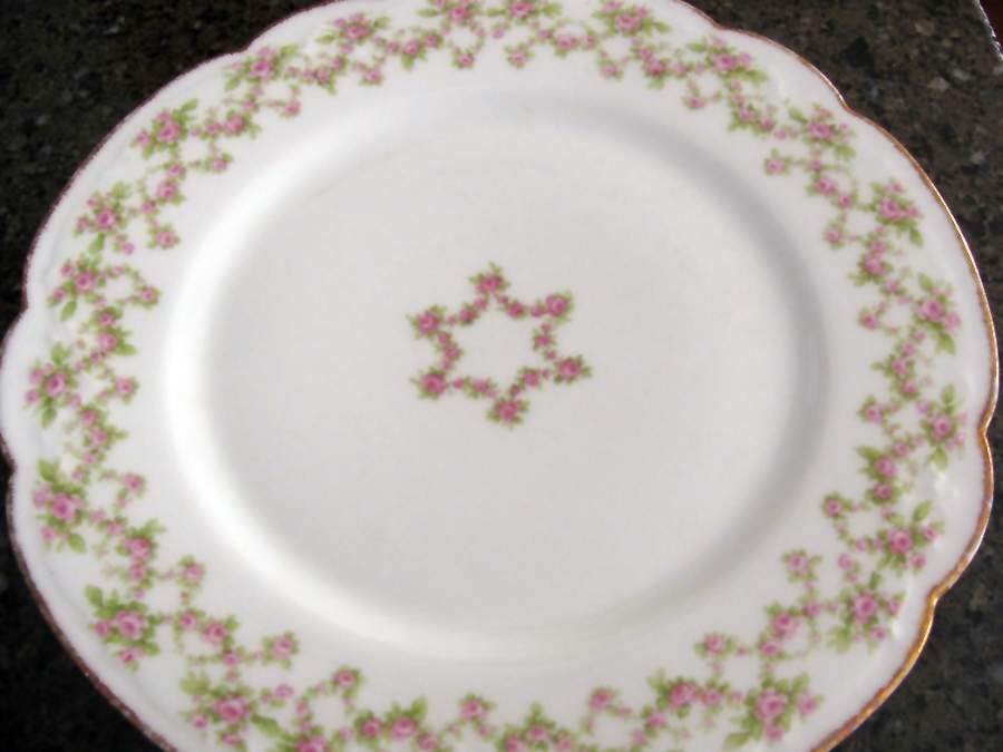 CMT167 Dinner Plate by Charles Martin-1
