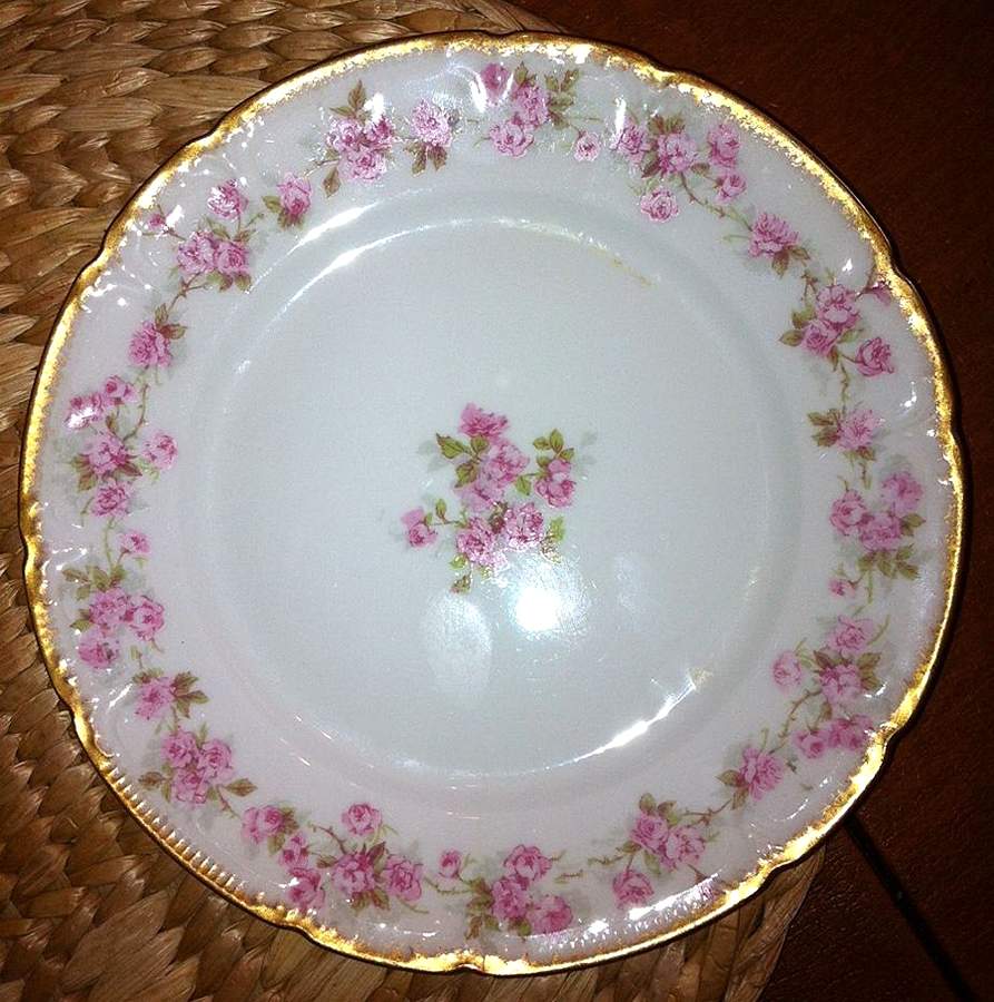 HEAD 119-4 Dinner Plate by Charles Field Haviland-1