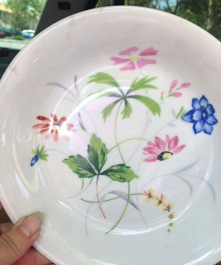 CHF1853 Dinner Plate by Charles Field Haviland-1