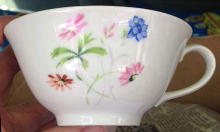 CHF1853 Flat Cup by Charles Field Haviland-1