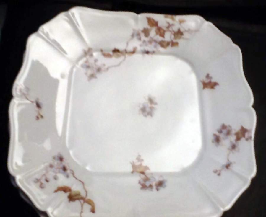 CHF1854 Dinner Plate by Charles Field Haviland-1