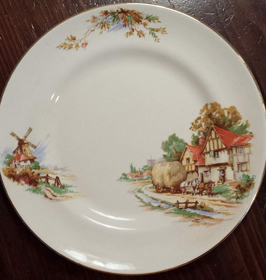 CCA9 Dinner Plate by Crown Clarence-1