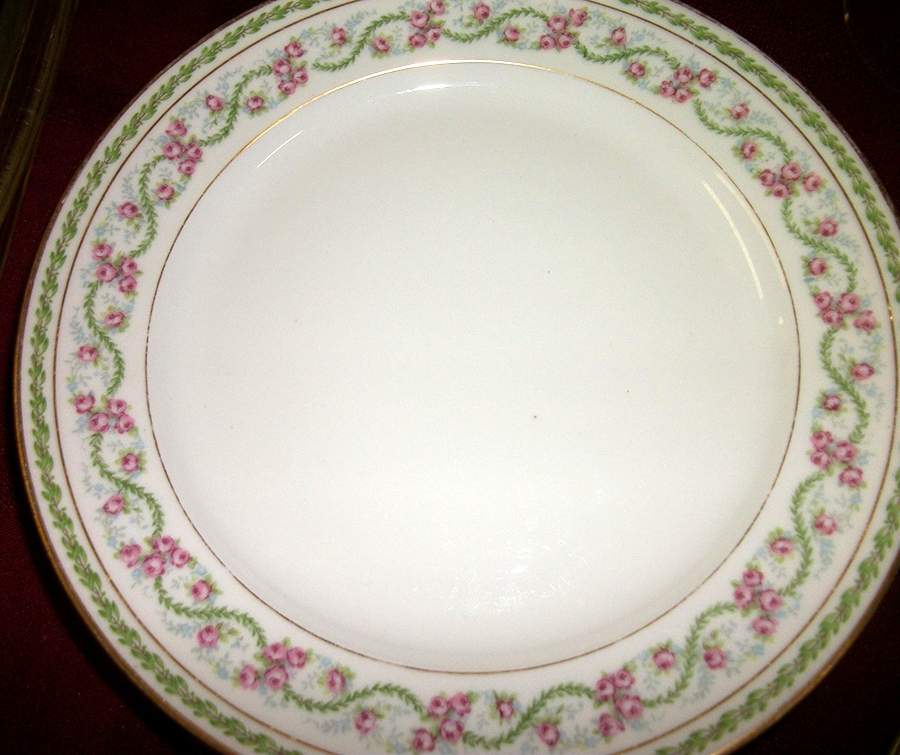CHF1859 Salad Plate by Charles Field Haviland-1