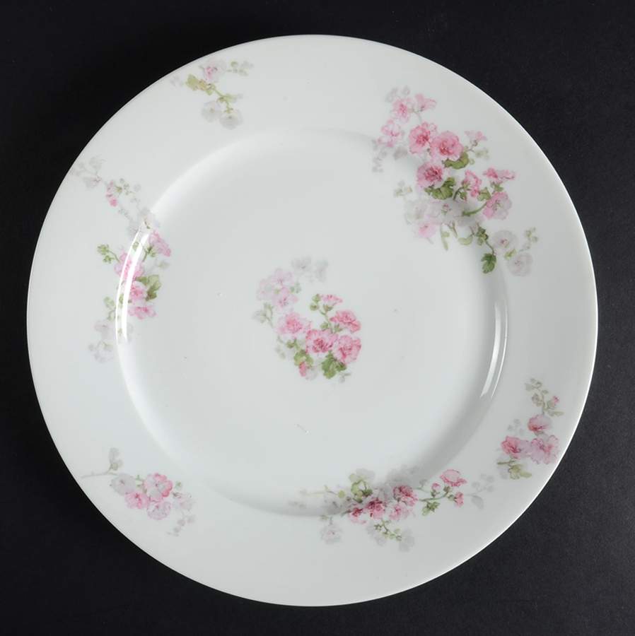 CHF1862 Dinner Plate by Charles Field Haviland-1
