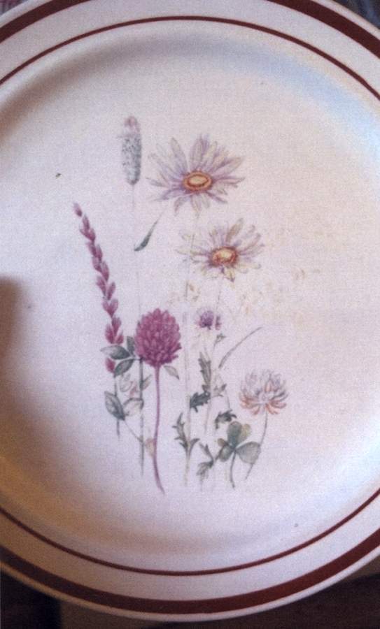 CX739 Dinner Plate by China (Made in China)-1