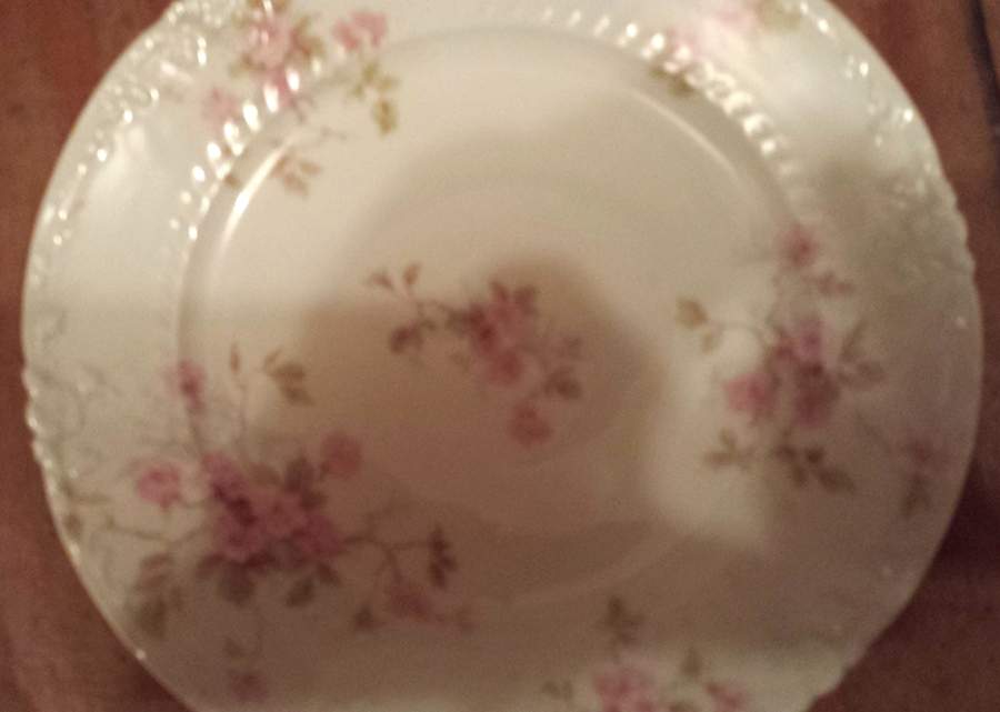 CHF1866 Dinner Plate by Charles Field Haviland-1