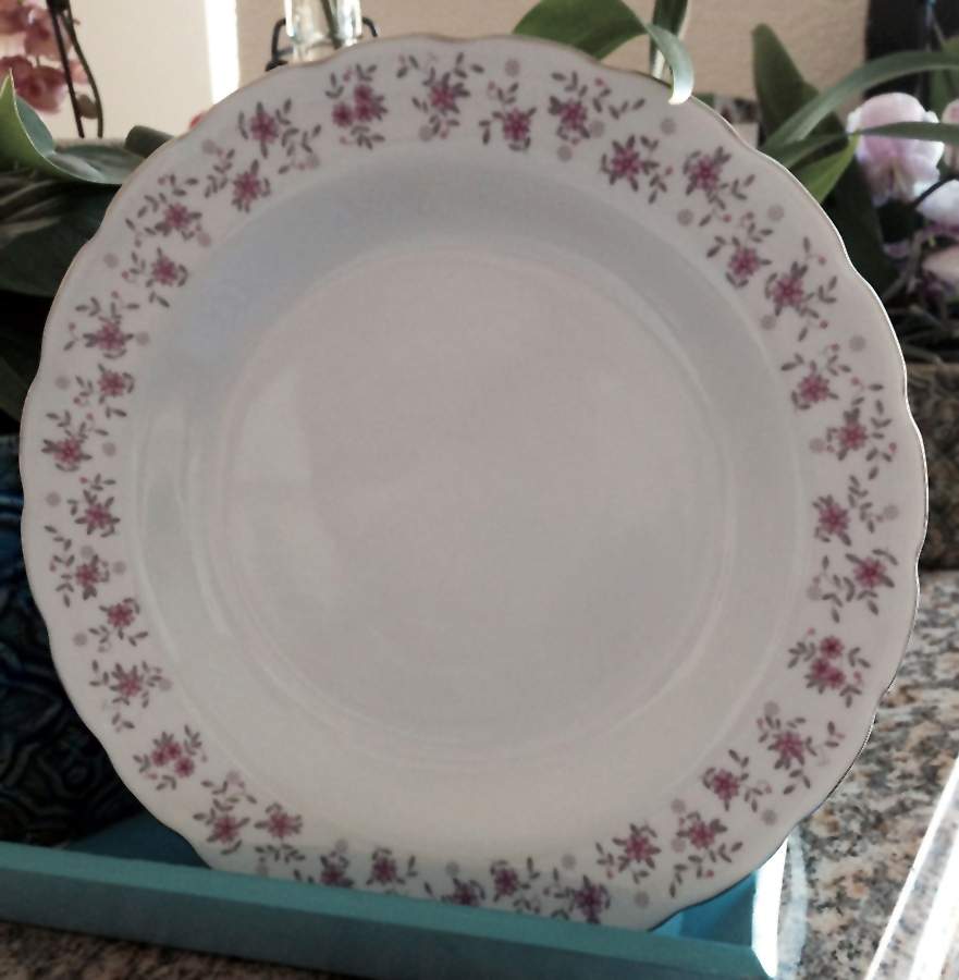 UP121 Dinner Plate by Universal Porcelain Company-1