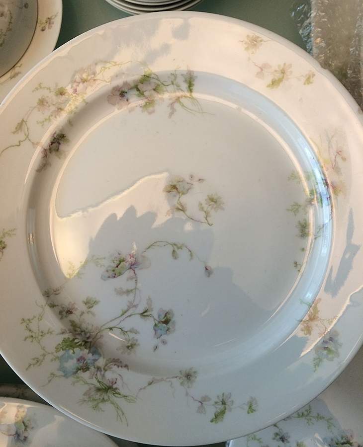 Schleiger 377-4 Dinner Plate by Charles Field Haviland-1