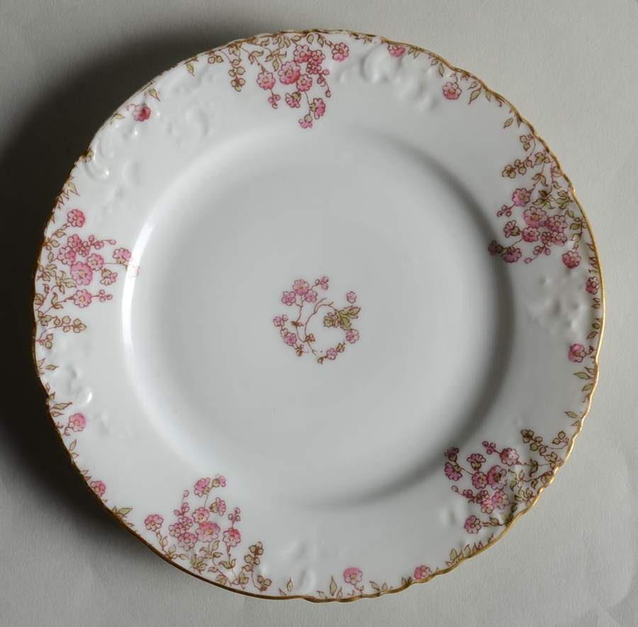 CHF1873 Salad Plate by Charles Field Haviland-1