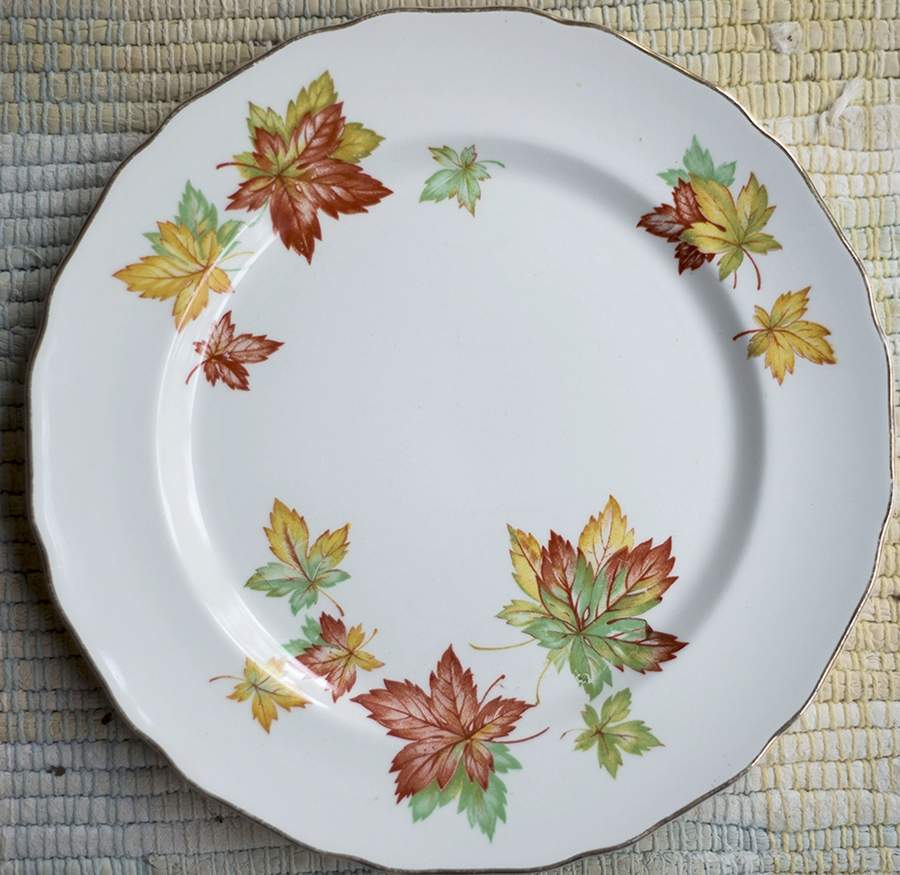 CAN289 Dinner Plate by Canonsburg-1