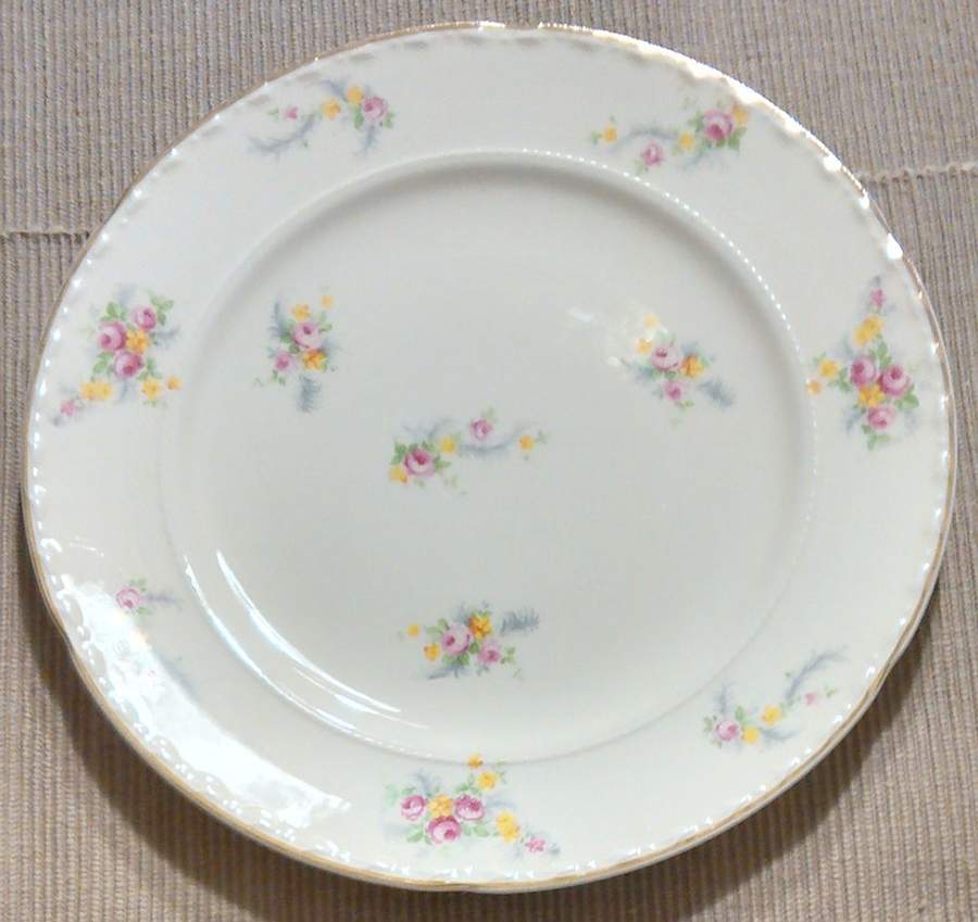CRO407 Dinner Plate by Crooksville-1
