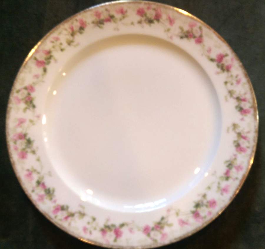 CHF1880 Dinner Plate by Charles Field Haviland-1