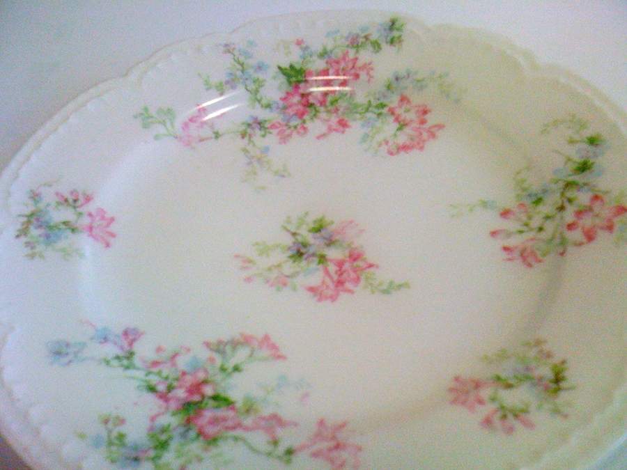 CHF1883 Dinner Plate by Charles Field Haviland-1