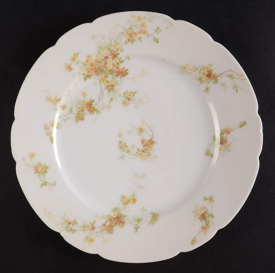 CHF60-1 Salad Plate by Charles Field Haviland-1