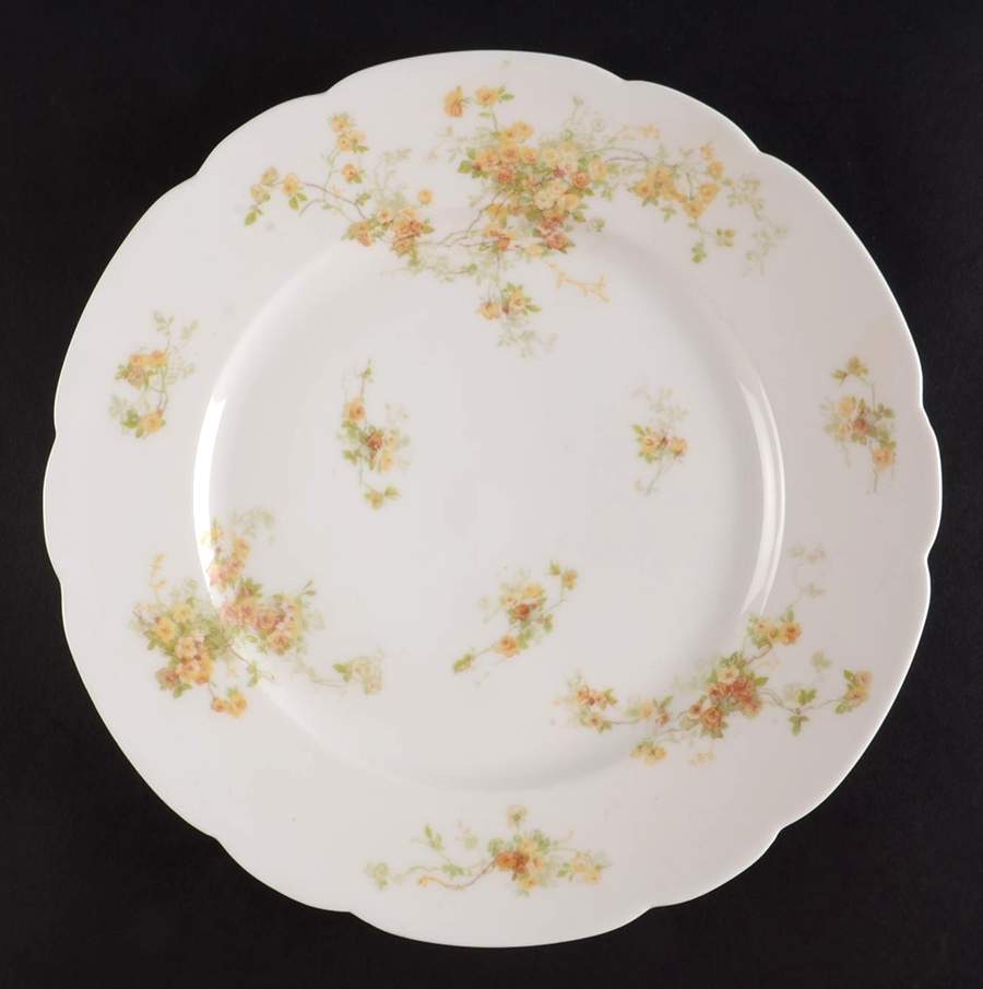CHF60-1 Dinner Plate by Charles Field Haviland-1
