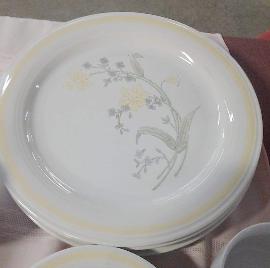 Melville Dinner Plate by The Cellar (China)-1