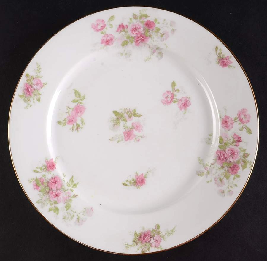 CHF1885 Dinner Plate by Charles Field Haviland-1