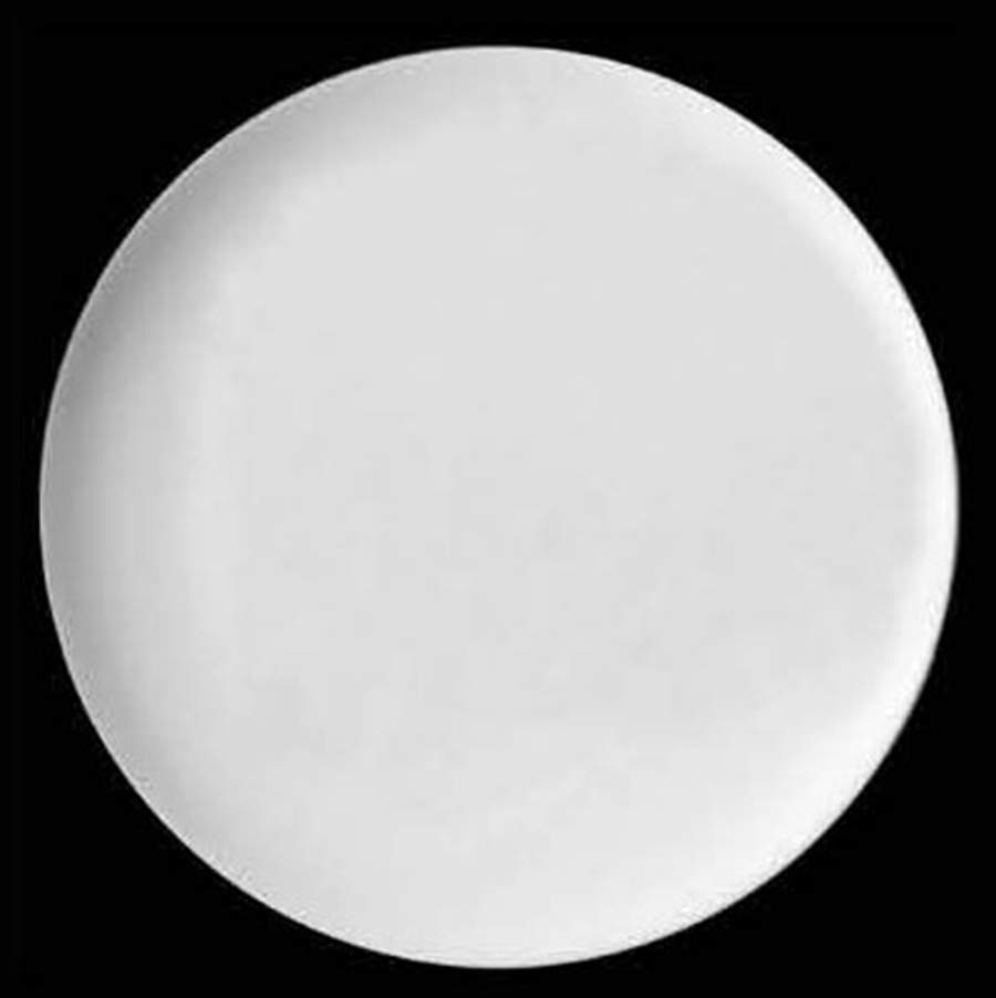 Agora Dinner Plate by Jean Louis Coquet-1