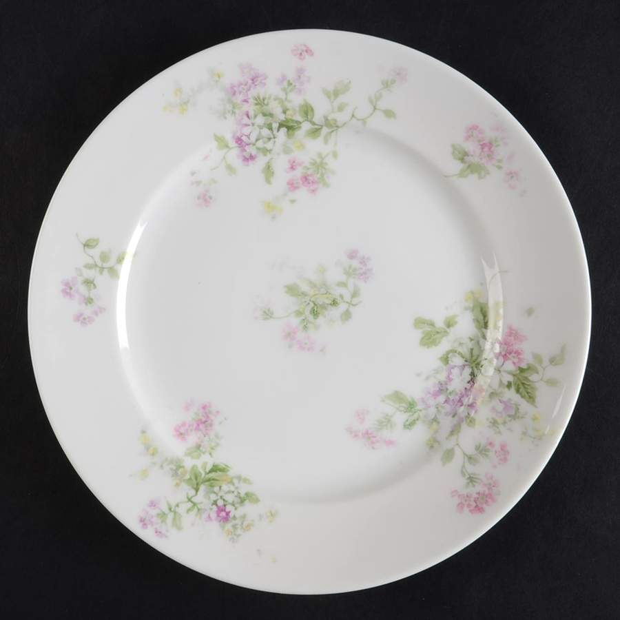CHF1891 Salad Plate by Charles Field Haviland-1