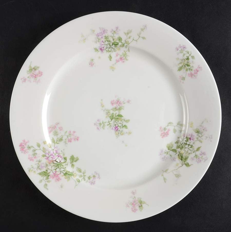 CHF1891 Dinner Plate by Charles Field Haviland-1