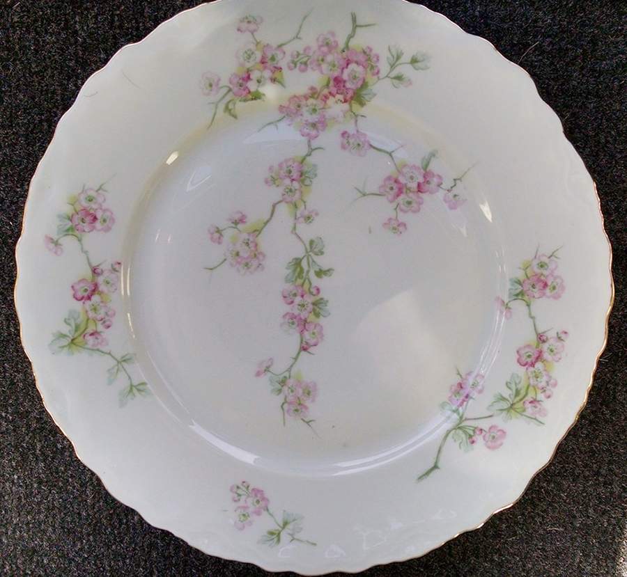CTI241 Dinner Plate by Carl Tielsch-1