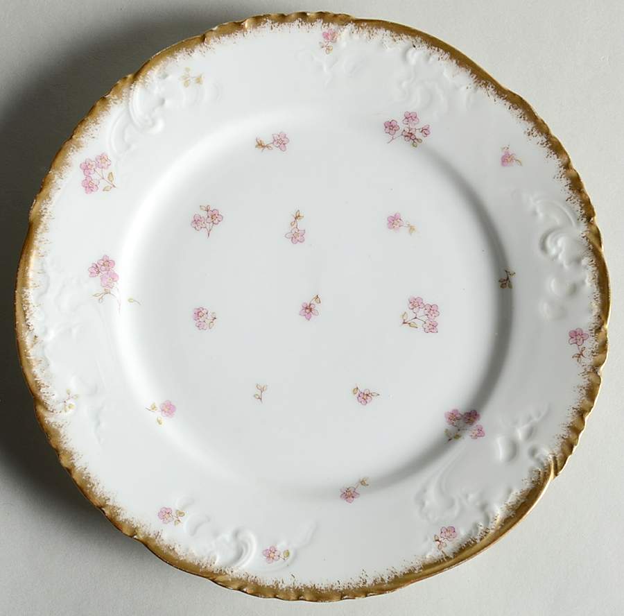 CHF1892 Salad Plate by Charles Field Haviland-1