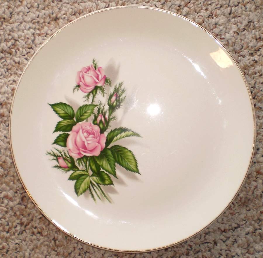 COI113 Dinner Plate by Cronin-1