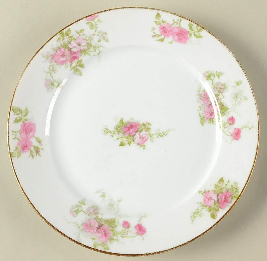 CHF1895 Salad Plate by Charles Field Haviland-1