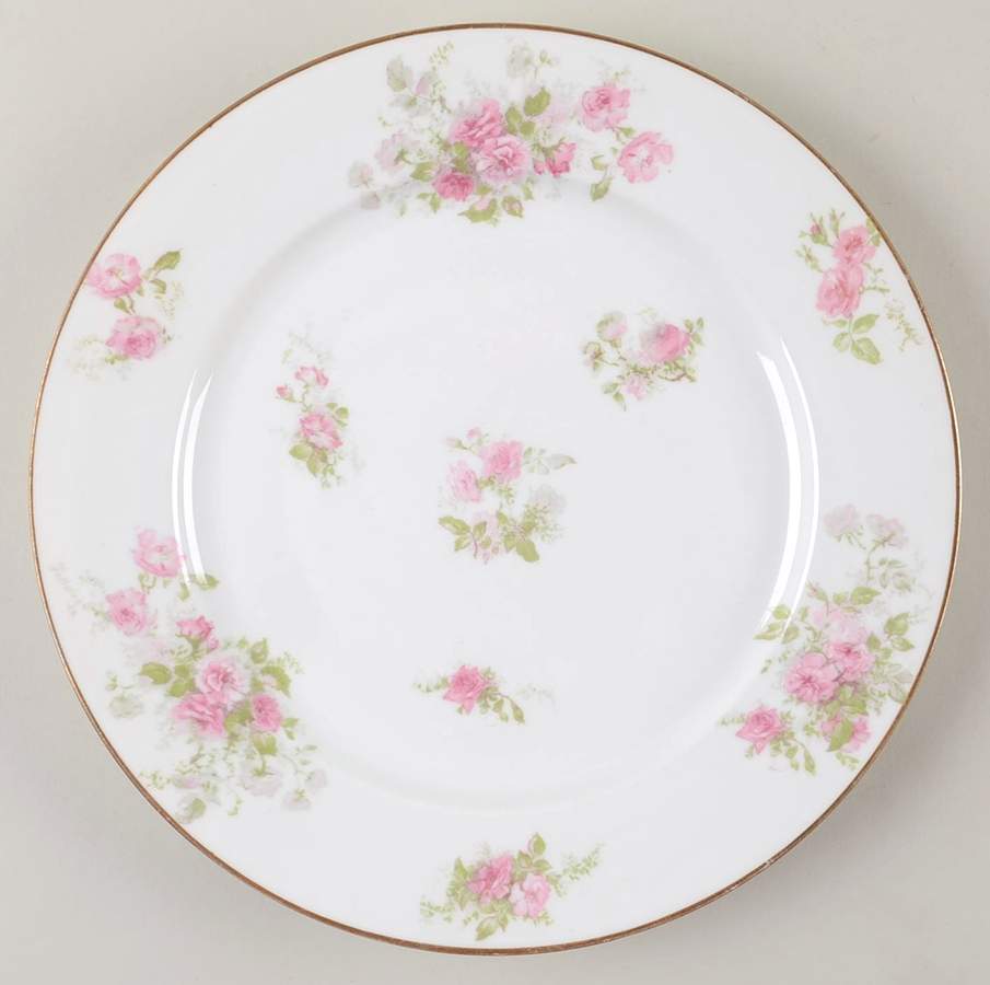 CHF1895 Dinner Plate by Charles Field Haviland-1