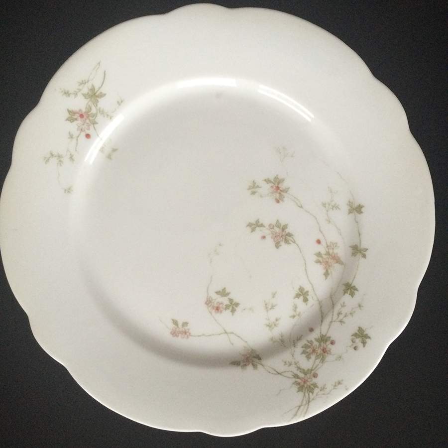 CAR239 Salad Plate by Carlsbad-1